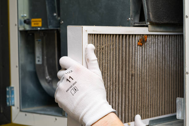 Best Air Duct Sanitizing Services  in Ottumwa, IA
